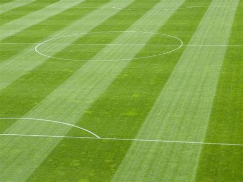 football pitch grass length